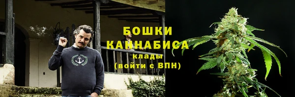 гидра Алексин
