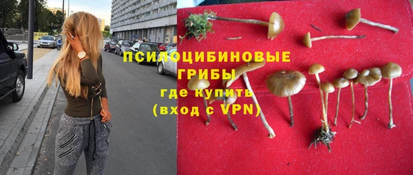 тгк Алзамай