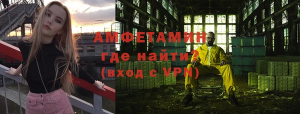 сатива Абаза