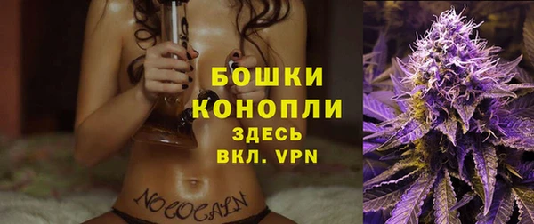 сатива Абаза