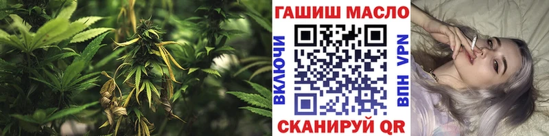 продажа наркотиков  Алексеевка  mega ссылки  Дистиллят ТГК гашишное масло 